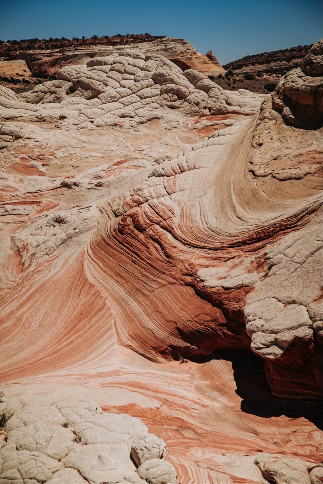 38F03E5B-35B5-4A98-A163-CD98BF7DA9A3